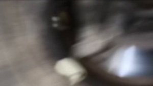 Citroen C4 Grand Picasso błąd ABS. P1331 Citroen C4. Problem z ABS Citroen