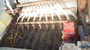 Сеялка для редиса за копейки №2