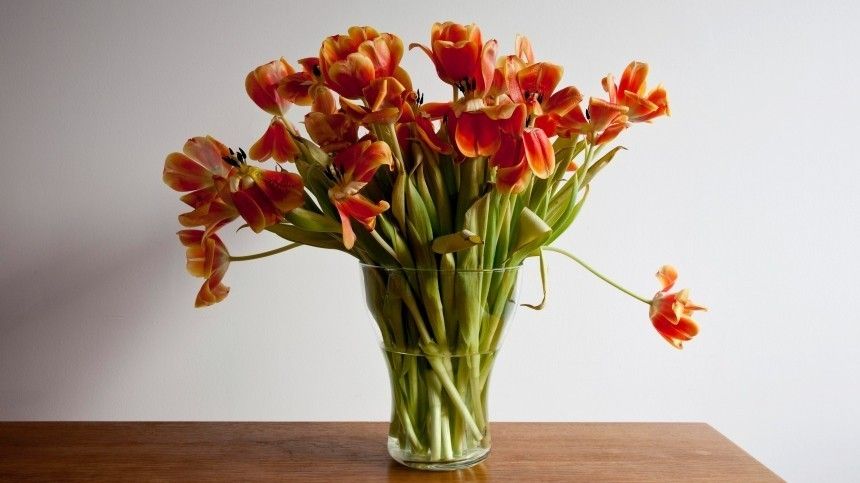 Цветы букет. Фото цветов в вазе из реальной жизни. Какой цветок вянет быстрее всего. Почему подаренные цветы быстро вянут.