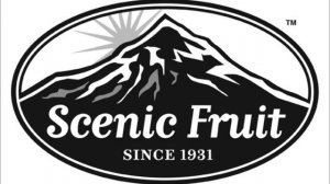 Scenic Fruit All Fruit Smoothie