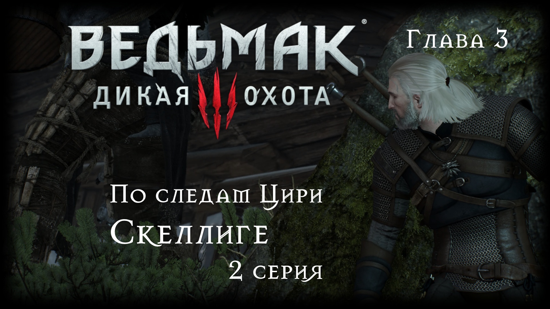 The fields of ard skellig ost witcher 3 фото 110