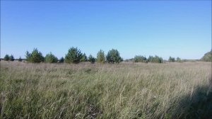 охотничьи зарисовки, 2018.mp4