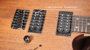 Groover - Guitarra Ibanez RG421MOL