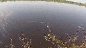 Ловля на донку сороги, ловля на донку весной.