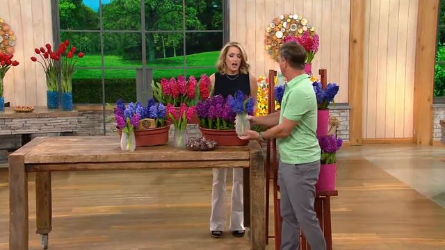 Roberta's 18 Piece Sweet Smelling Hyacinth Collection on QVC смотреть онлайн