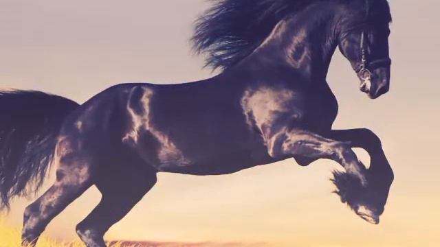 Чудо природы! смотреть онлайн