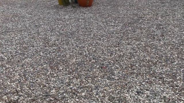 США 4127: Утро с лимоном, массажем стопы и малосольной рыбкой смотреть онлайн