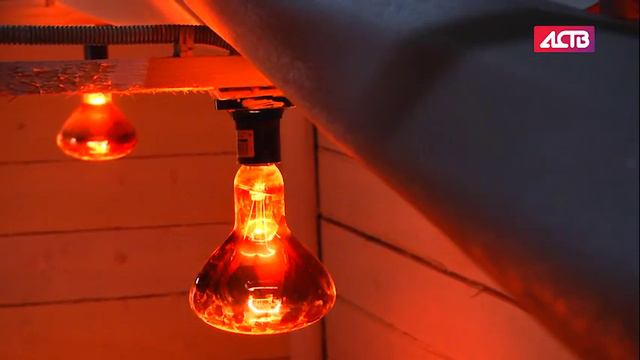 «Наш день»: 15 января 2018 смотреть онлайн