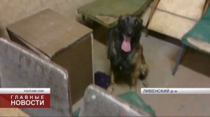 Служебные собаки «выходят на пенсию» через 8 лет