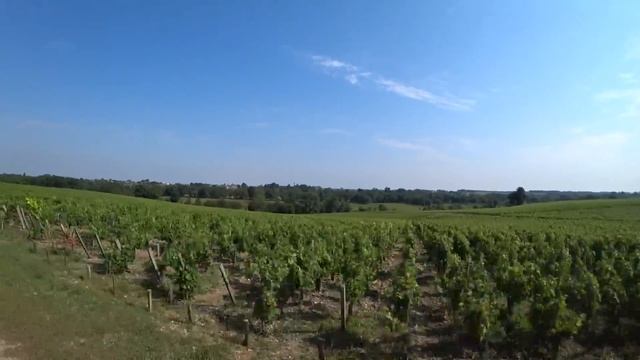 НА ДАЧЕ У РОТШИЛЬДОВ, ночую в огороде. смотреть онлайн