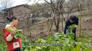 炮嫂见徐姐跟阿平感情有点进展，又问啥时候有扣肉吃，听他咋说