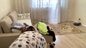 Сосед НЕ ДОВОЛЕН ЧТО ВКЛЮЧЕНА КАМЕРА ! Муж живет отдельно от меня ! канал Мама Отличника