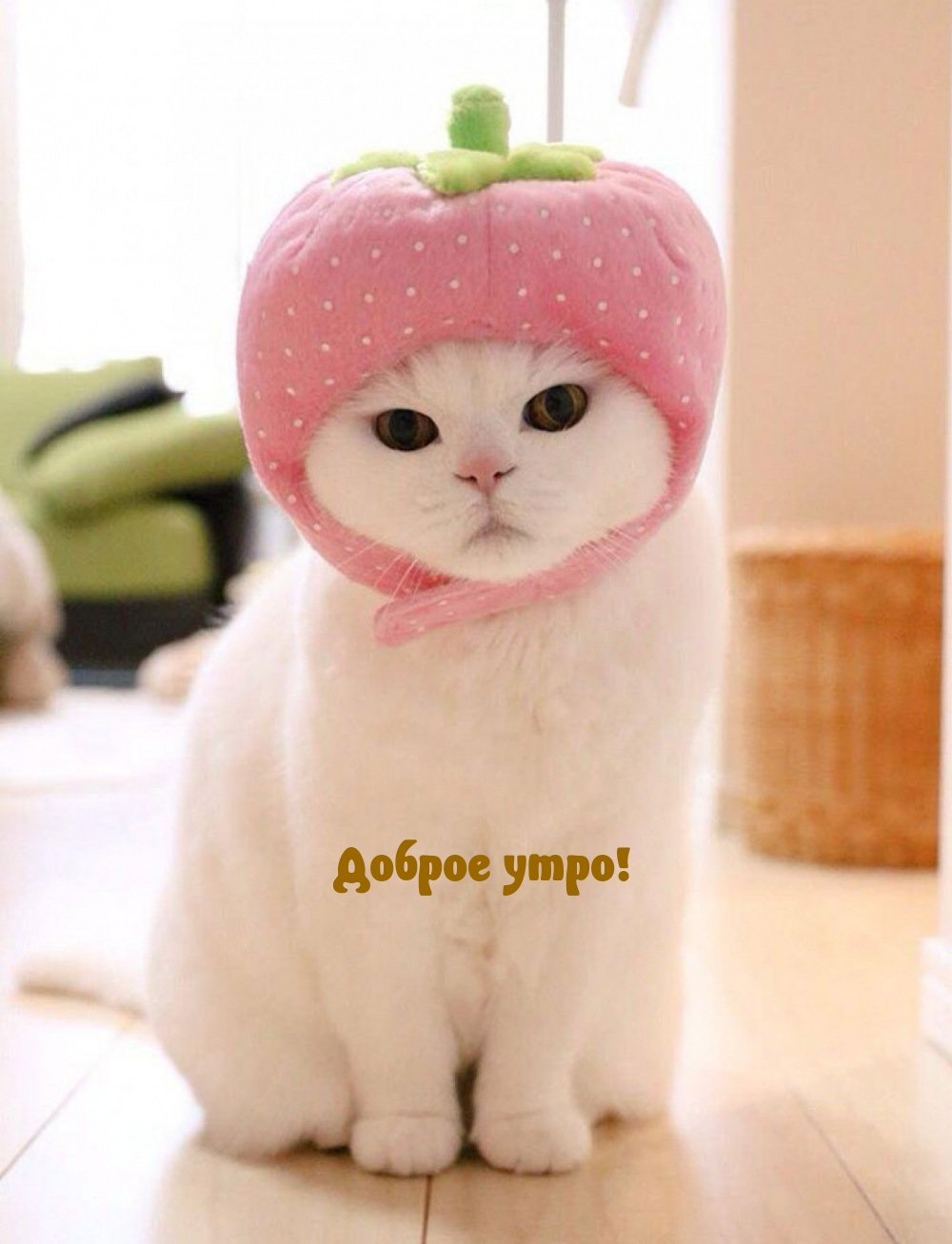 Оригинальное Пожелание Доброго Утра!