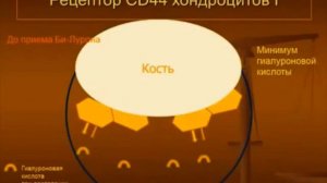 Доктор Нильс Душек о препарате Би Лурон.