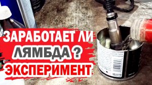 Можно ли восстановить кислородный датчик автомобиля? Эксперимент на Хендай (Hyundai).