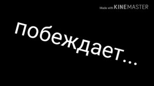 Лев против тигра | кто сильнее, лев или тигр