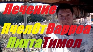 Лечение пчел от Варроатоза.Амитраз, тимол,пихтовое масло.Кочевая пасека Антон-Волгодонск.