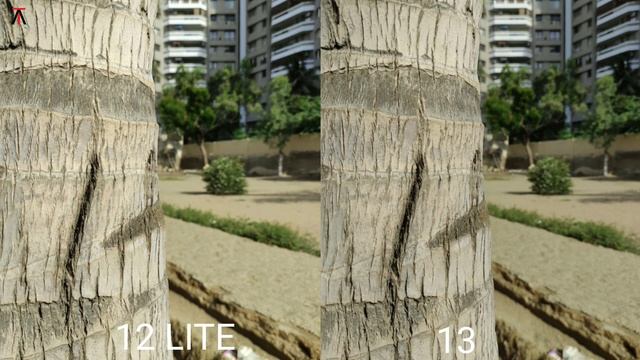 Xiaomi Mi 12 Lite Vs Iphone 13 | Camera Test