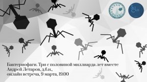 Научный клуб ФББ. Бактериофаги. Три с половиной миллиарда лет вместе. Андрей Летаров .