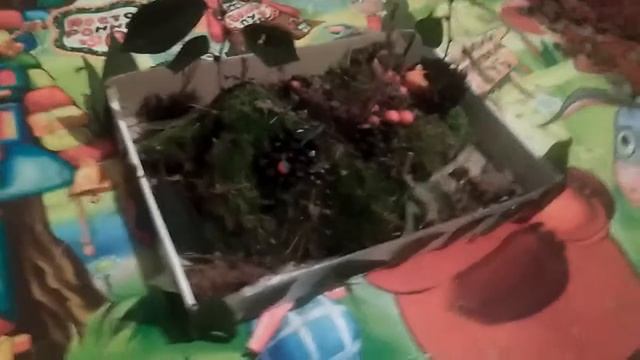 поделка на праздник осени в детский сад смотреть онлайн