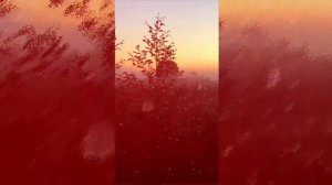 Я ехал к вам (Приметы)