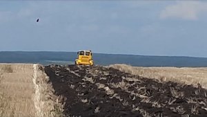 Вспашка паров, трактор кировец К-700А 17 июня 2023 г.