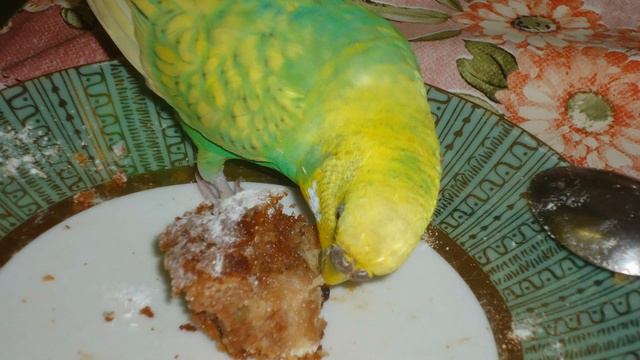 Пепинка смотреть онлайн