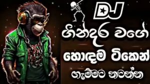 ගින්දර වගේ | New dj 2024 sinhala song | Bass boosted | Trending song sinhala | 2024 New sinhala son