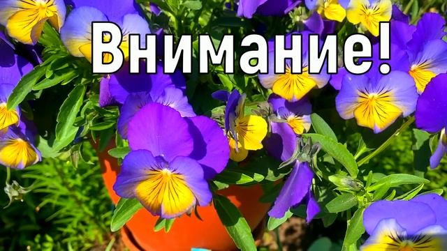 18 июня Дорофеев День. Что нельзя делать 18 июня. Народные традиции и приметы и суеверия