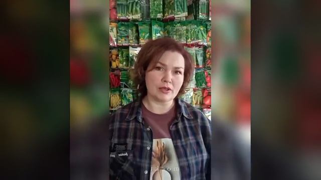 Обзор сортов огурцов 2022 смотреть онлайн