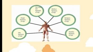 Адамның тірек-қимыл жүйесі,6-сынып жаратылыстану