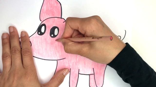 Desenhando um Porquinho Dibujar coloear un cochinito 子豚の描き方 как нарисовать маленькую свинью смотреть онлайн