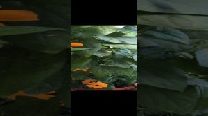 11-05-2023