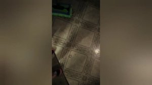 Самый честный отзыв и обзор о швабре Greenway Aquamatic Mop