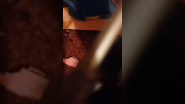 Барби за 500 р !что?? смотреть онлайн