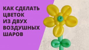 Как сделать цветок из двух воздушных шаров.mp4