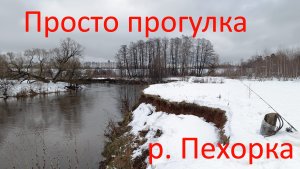 Просто прогулка р. Пехорка  21.12.2023.