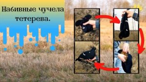 СУПЕР-охота на ТЕТЕРЕВА на току! Охота на тетерева с чучелами весной