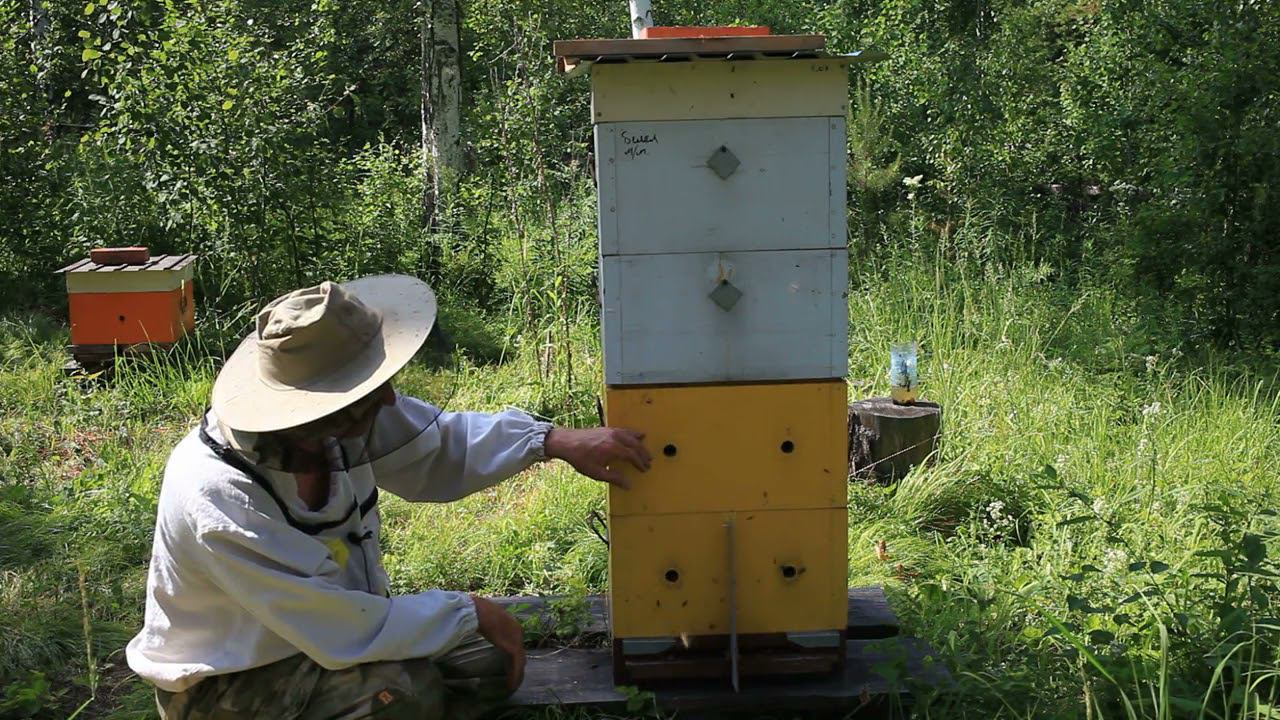 Двухматочная семья в рутах. смотреть онлайн