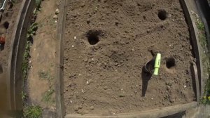 КАПУСТА, СРОКИ И ПРАВИЛА ПОСАДКИ РАССАДЫ В ГРУНТ.