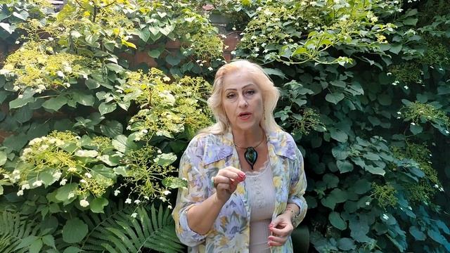 Летнее солнцестояние. ЭКСТРЕННЫЙ ВЫПУСК. смотреть онлайн