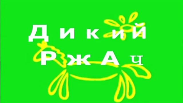 Проект "Репортаж" - Наши Солнечные Новости выпуск 6 (2-я смена) (2015)