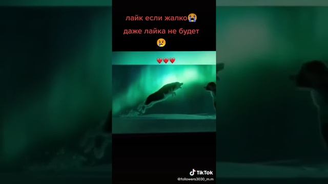 добро побеждает зло смотреть онлайн