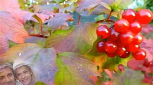 Горчит калина Муз В Зубкова,ст Н Кондаковой кавер Г Погорельская