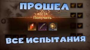 Прошел все испытания. Поле метеоритов порчи. Остров сателита. Dragonheir: Silent Gods