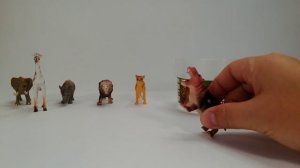 Коллекция игрушечных животных. Toy Animals Collection