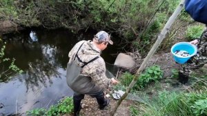 Рыбалка на Паук! По ВЕДРУ Уклейки в КАЖДЫЙ Подъём , это Просто ЖЕСТЬ!!!