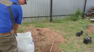 Правила посадки саженцев деревьев или как посадить дерево