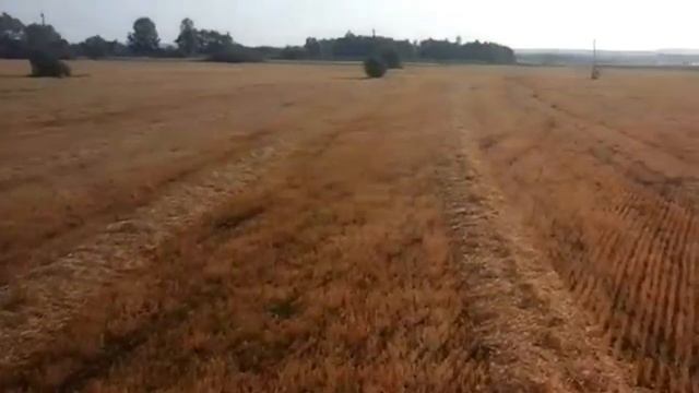 ДОН-1500 - "Девочка Вероника, 9 лет сама на комбайне - убирает урожай.". смотреть онлайн