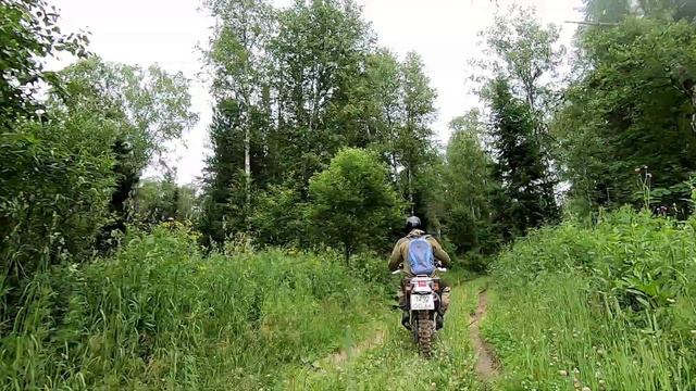 Yamaha TTR250 Мото выезд 30.06.2020 смотреть онлайн